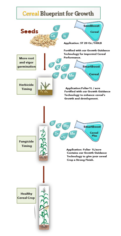 cereal_diagram