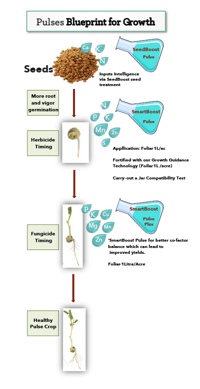 pulses_diagram