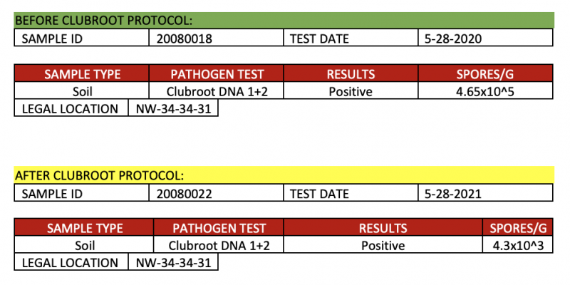 Clubroot Remediation Protocol - CustomAgIntel
